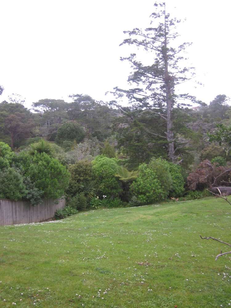 17 Sandford Street Campbells Bay_18