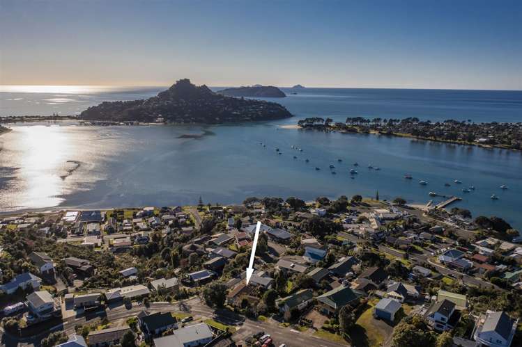 1 Pine Grove Tairua_14