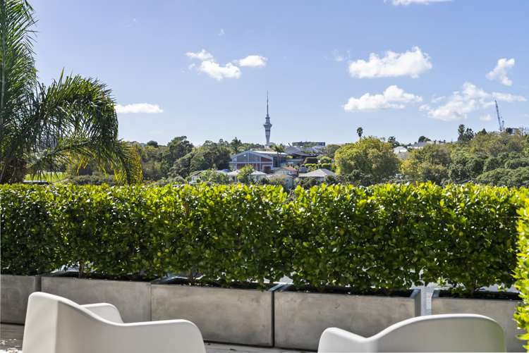 34 Schofield Street Grey Lynn_13