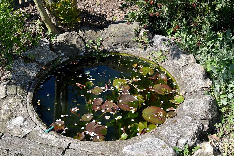 117 East Street Greytown_12