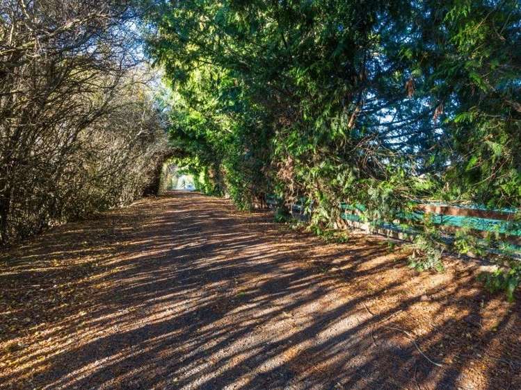 77 Wairongoa Road North Taieri_21