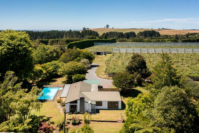 881b Te Matai Road Te Ranga_1