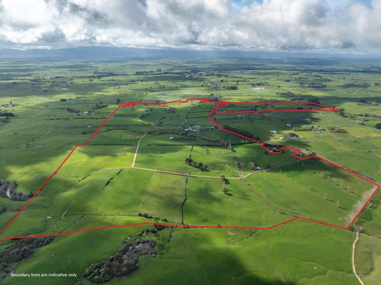 180 Cameron Road Morrinsville_24