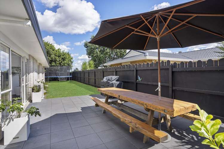 24b Hibiscus Avenue Mount Maunganui_8