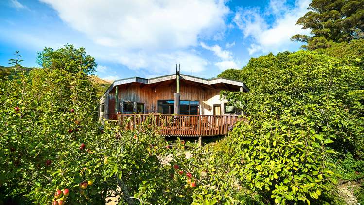 14 Haile Lane Kahurangi National Park_22