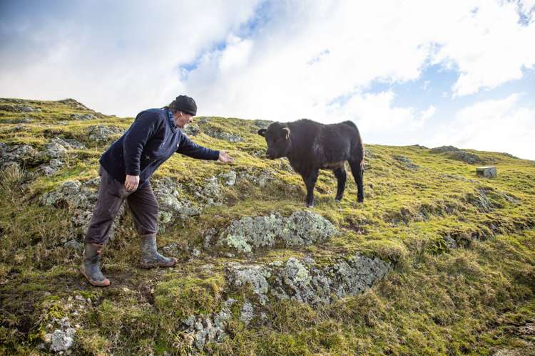 200 Parkvale Road Wilton_30