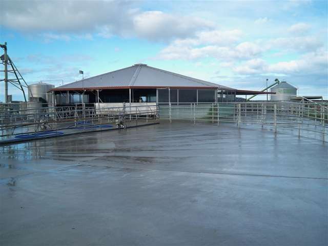 449 Greenpark Road Springston_1