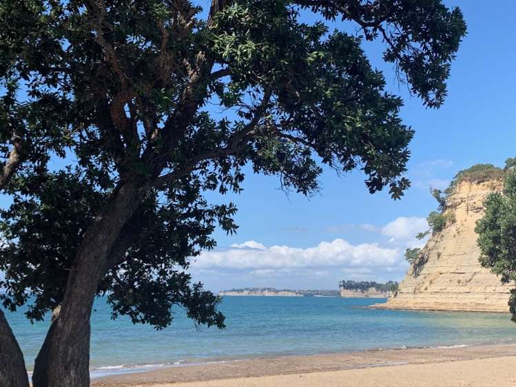 49 Cochrane Avenue Arkles Bay_17