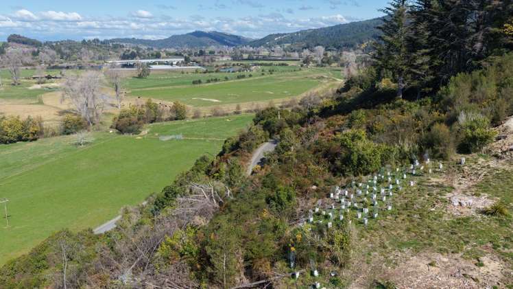 146D Motueka River West Bank Road Brooklyn_25