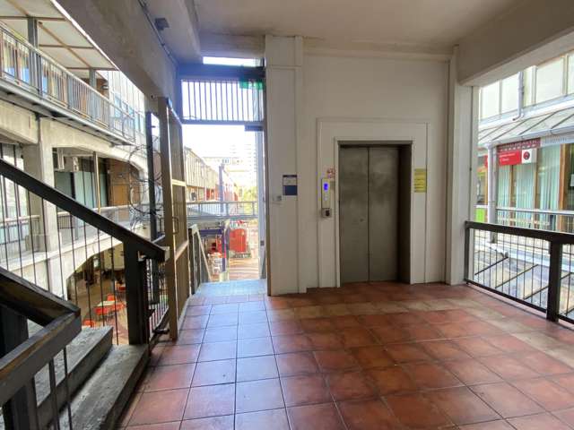 229/21 Left Bank Te Aro_3