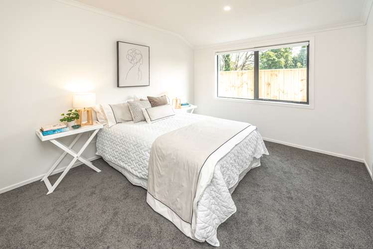 17a Alma Road Gonville_6