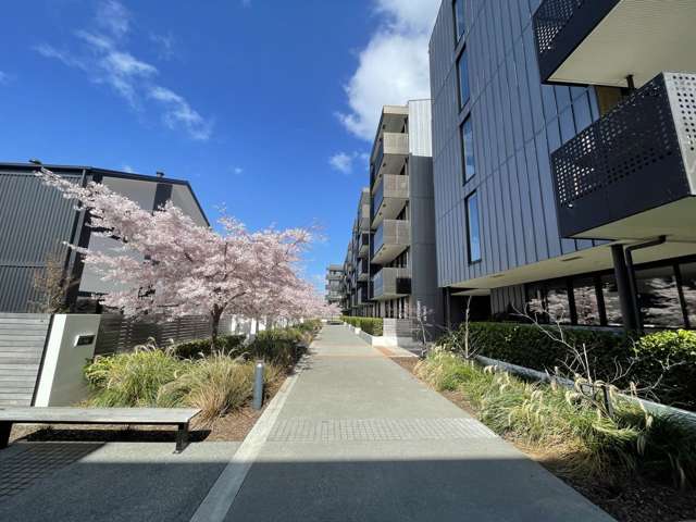 409/36b Welles Street Christchurch Central_2