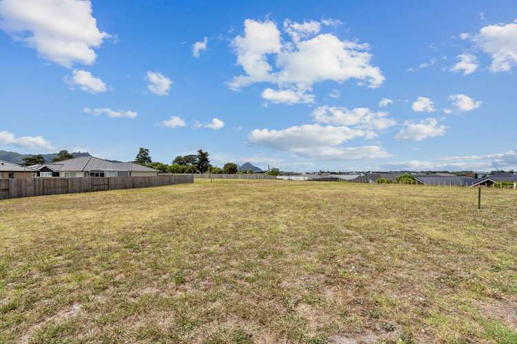 5 Te Taniwha Road One Tree Point_7