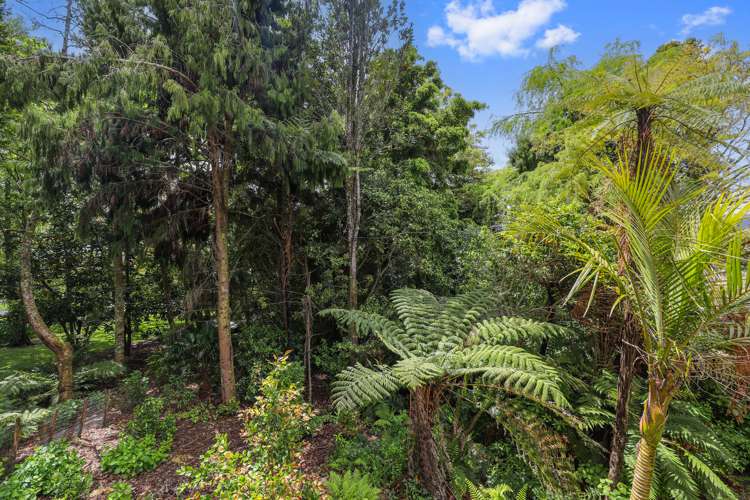 285 Spencer Road Lake Tarawera_21