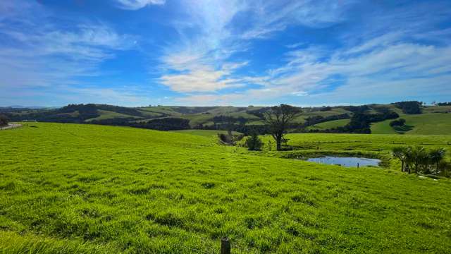 227 Tapu Bush Road Whangaripo_1