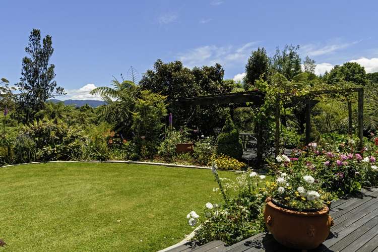 480B Youngson Road Whakamarama_25