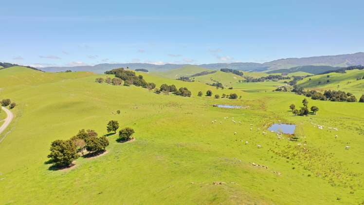 83 Towai Road Dannevirke_37