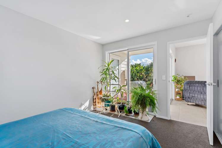 14 Limelight Lane Kerikeri_10