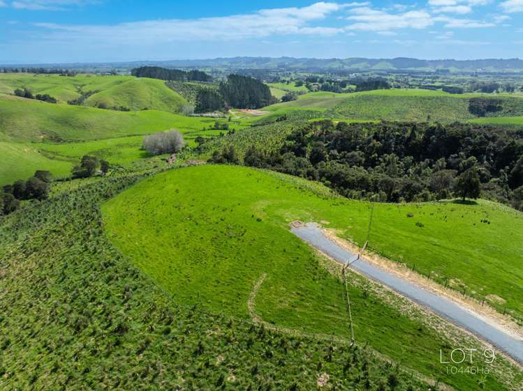 36 Munros Road Clevedon_8