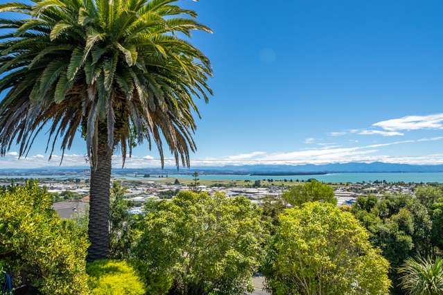 75 Chamberlain Street Tahunanui_4