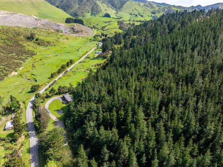 90 Hoeke Road Carterton_17