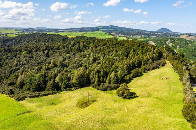 Baker Road Maungatapere_2