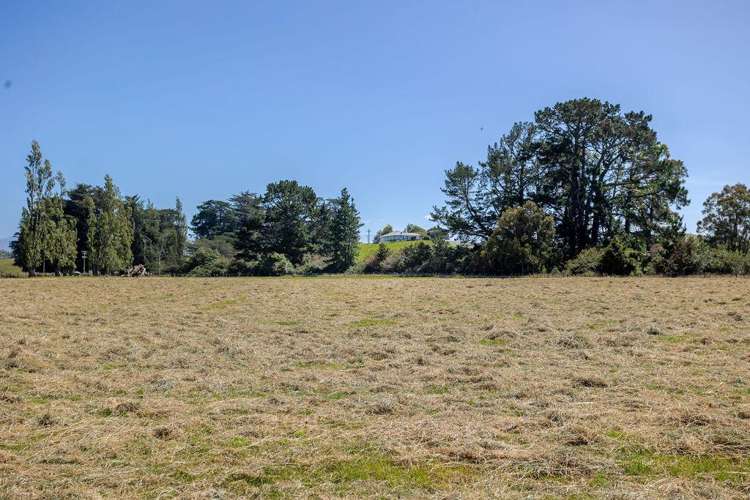 61 Church Road Dannevirke_3