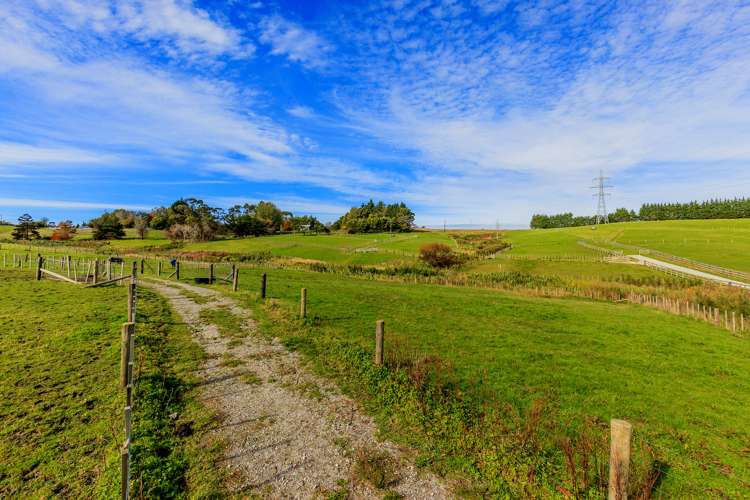 53 Follies Way Dairy Flat_12