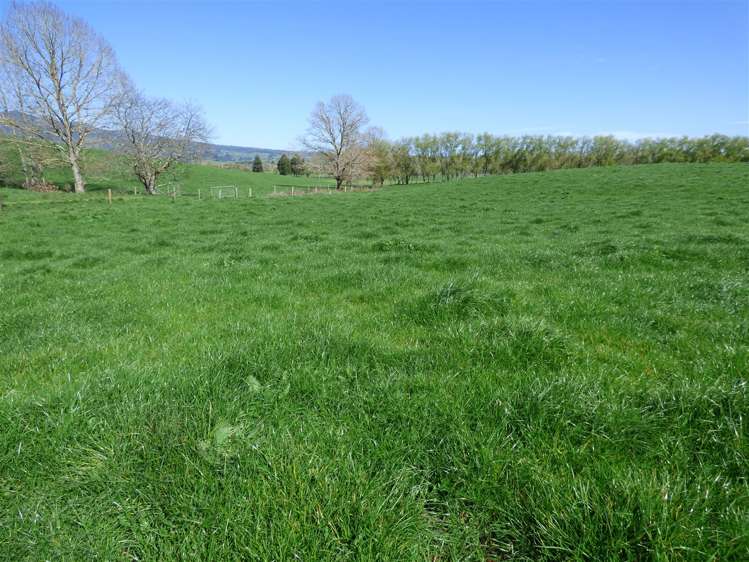 336 Grove Road Te Pahu_21