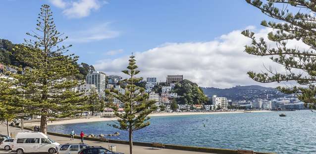 2/318 Oriental Parade Oriental Bay_1