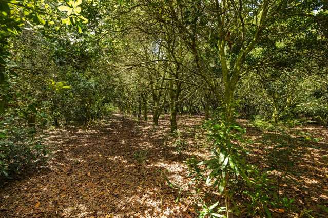 Lot 4 Horeke Road Okaihau_2