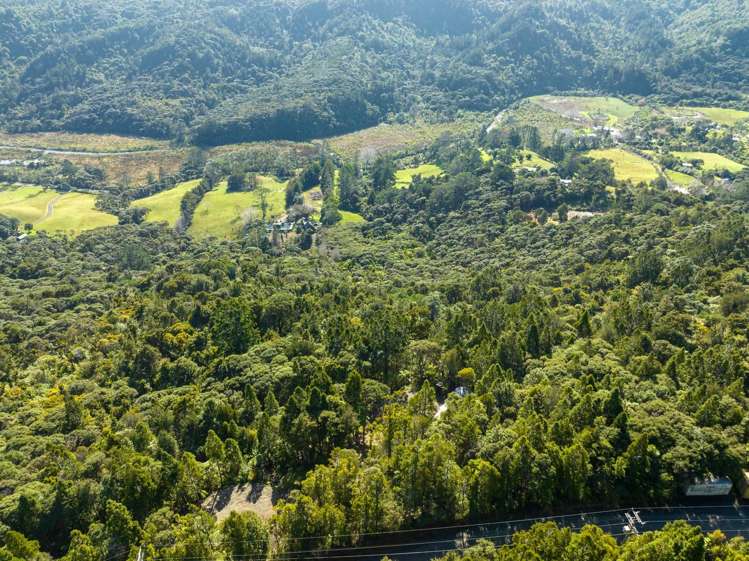 15 Te Aute Ridge Road Waitakere_11