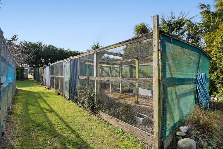 1680 Hoskyns Road Kirwee_28