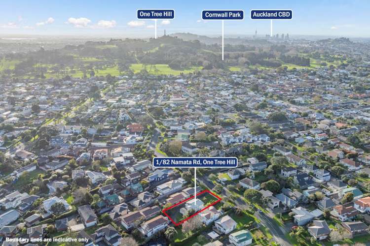 1/82 Namata Road One Tree Hill_9