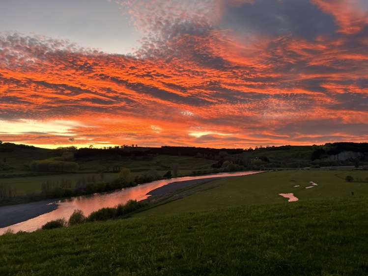 1111 Elsthorpe Road Otane_31