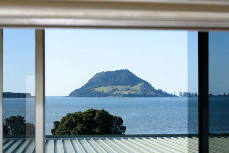 163 Ngatai Road_0