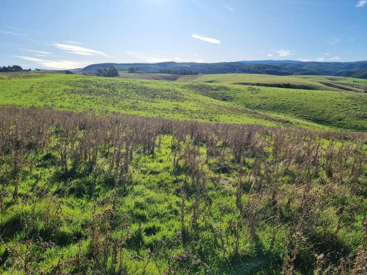 88 Bryson Road Clinton and Surrounds_10