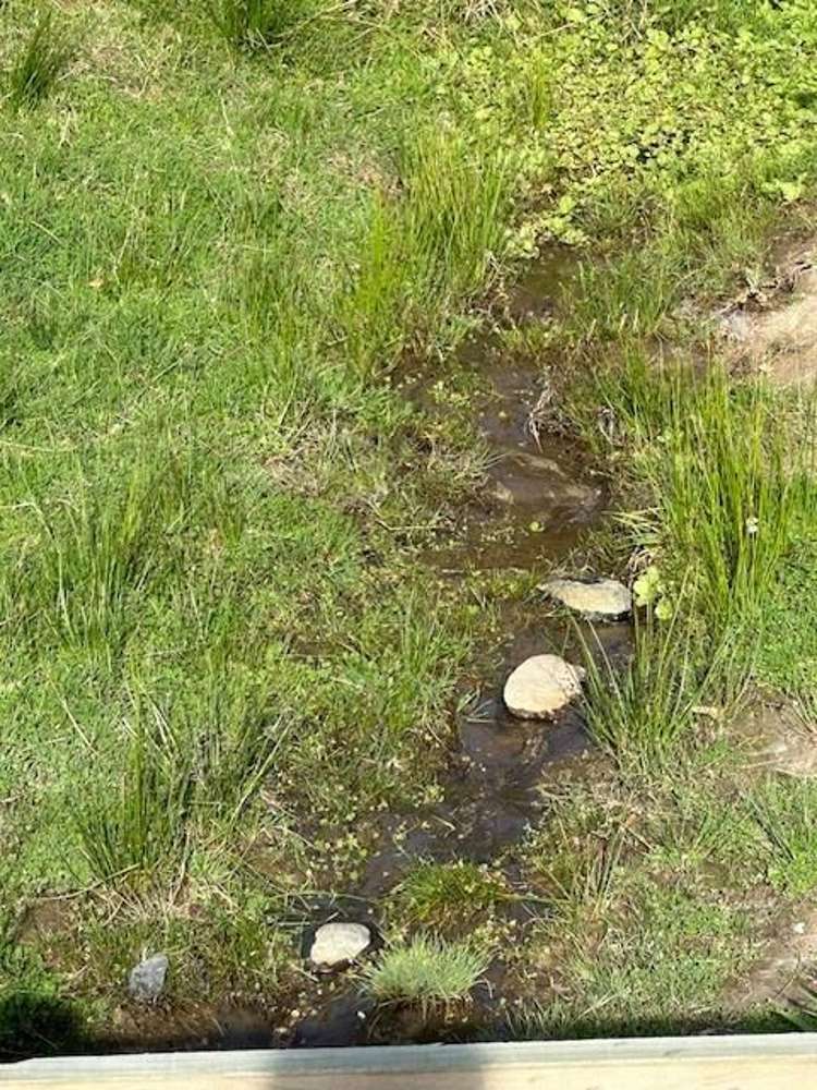 4476 Christchurch Akaroa Road Little River_8