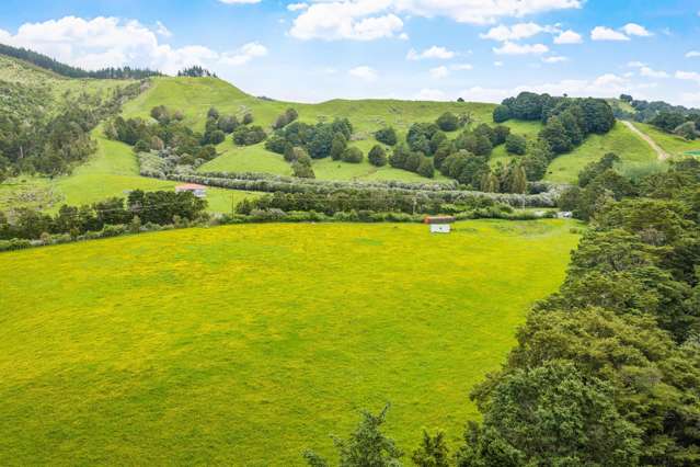 723 Whangaripo Valley Road Whangaripo_2