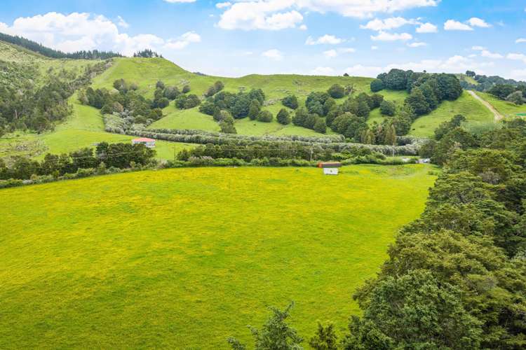 723 Whangaripo Valley Road Whangaripo_2