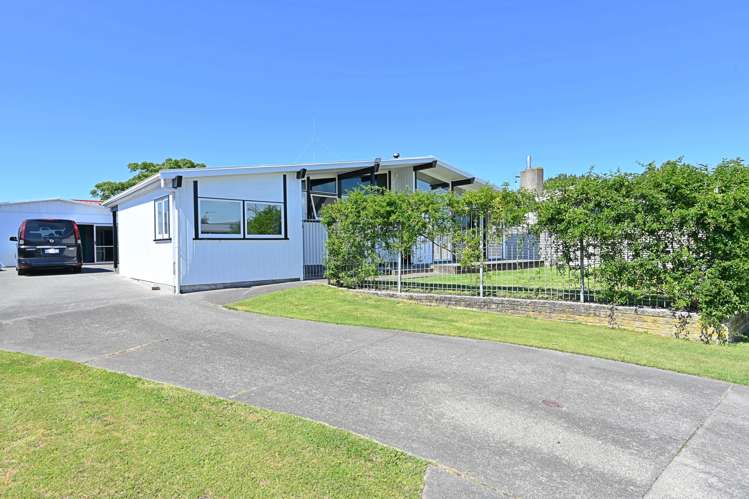 65 Freyberg Avenue Tamatea_18
