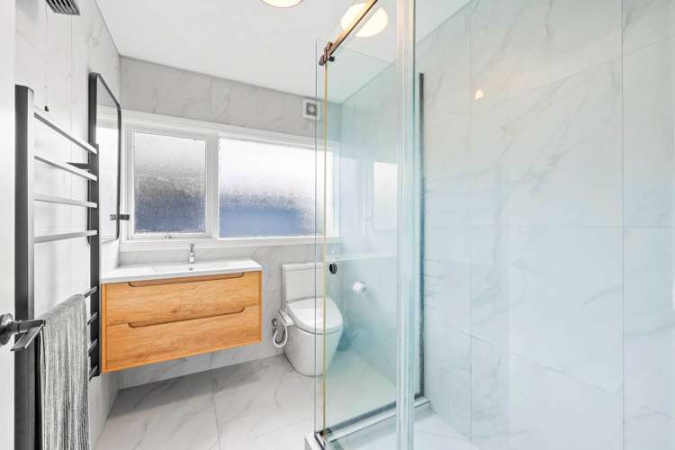 7 Littlejohn Street Hillsborough_19