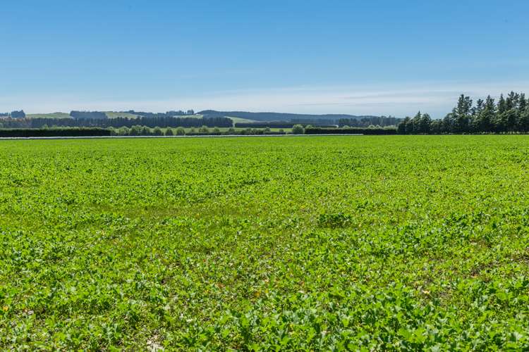 30 Tippings Road Cust_15