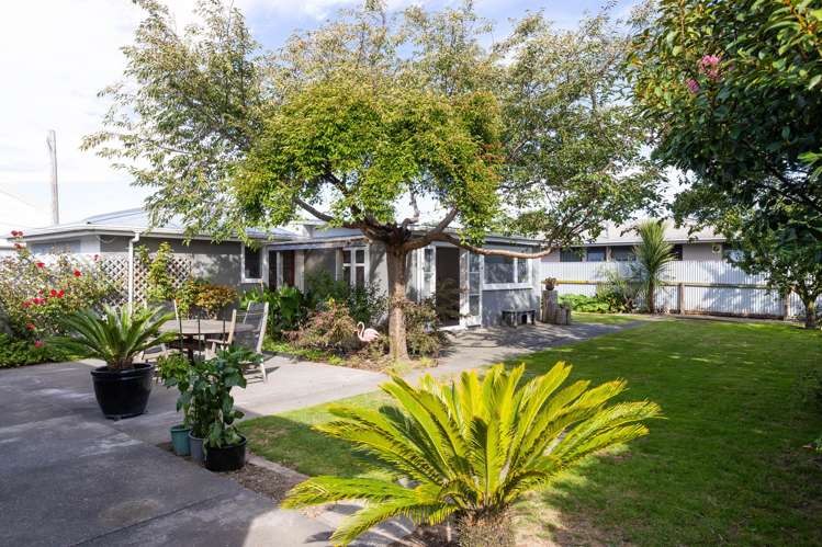 263 Kennedy Road Onekawa_16