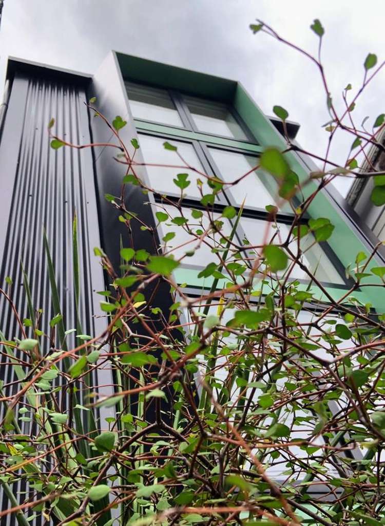 108 Aro Street Aro Valley_12