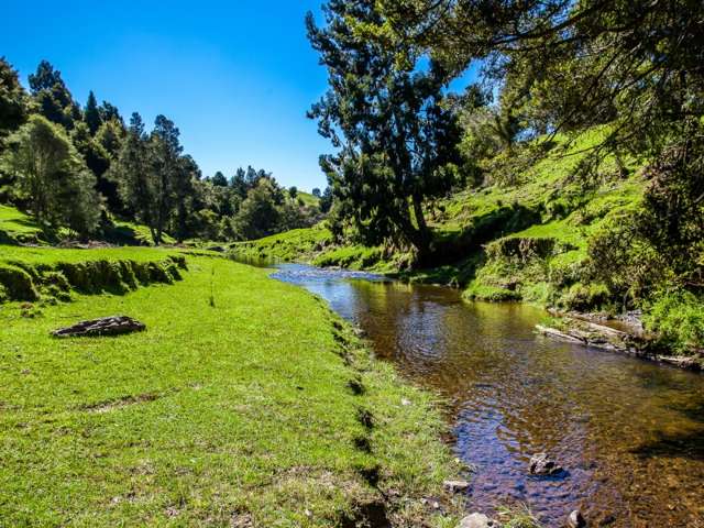 667 Stanley Road Wainui_3