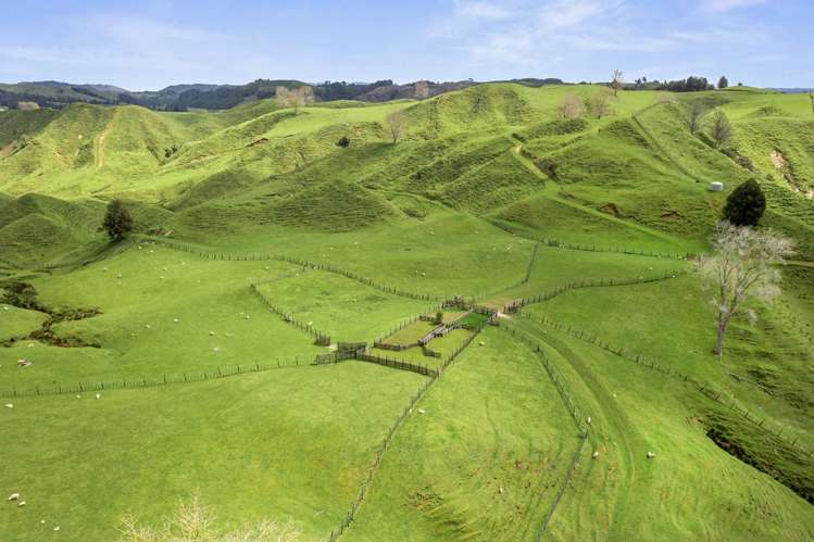 1741 Tikitiki Road Te Kuiti_22