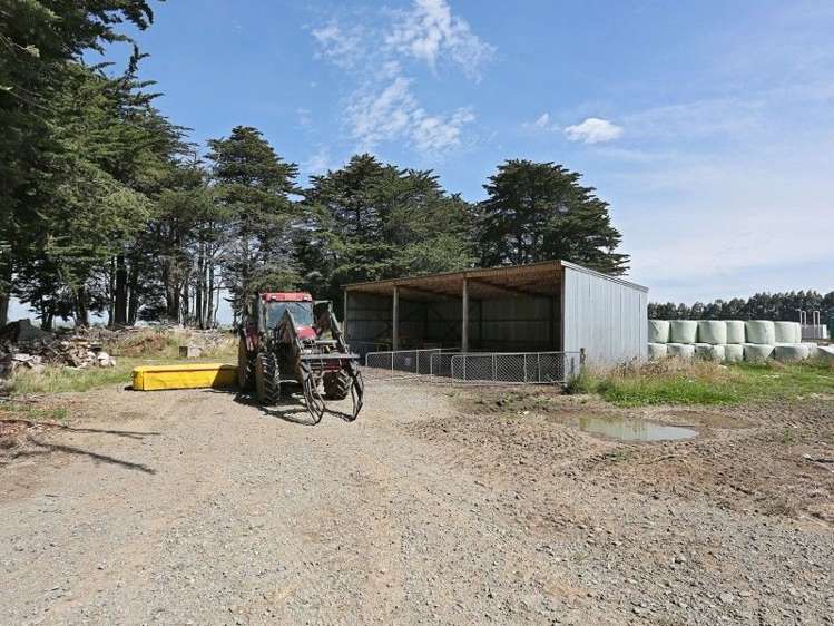 74 Reid Road Winton Surrounds_17