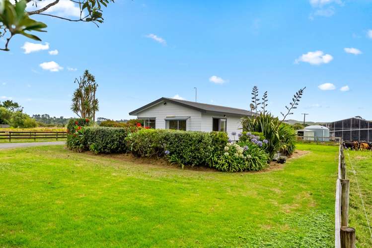 331 South Head Road, South Head Helensville_5