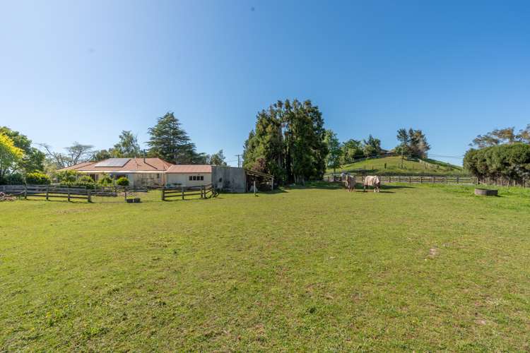 93 Crawford Road Te Kowhai_30